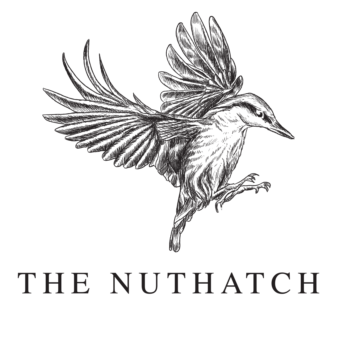 The Nuthatch Middlesbrough logo